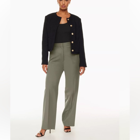 Babaton Pants - Aritzia Babaton Agency Pant